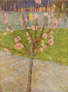 クリシー通り 作： Vincent van Gogh